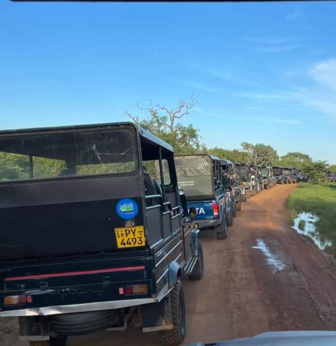 Map showing elephant migration patterns between Kaudulla and Minneriya parks