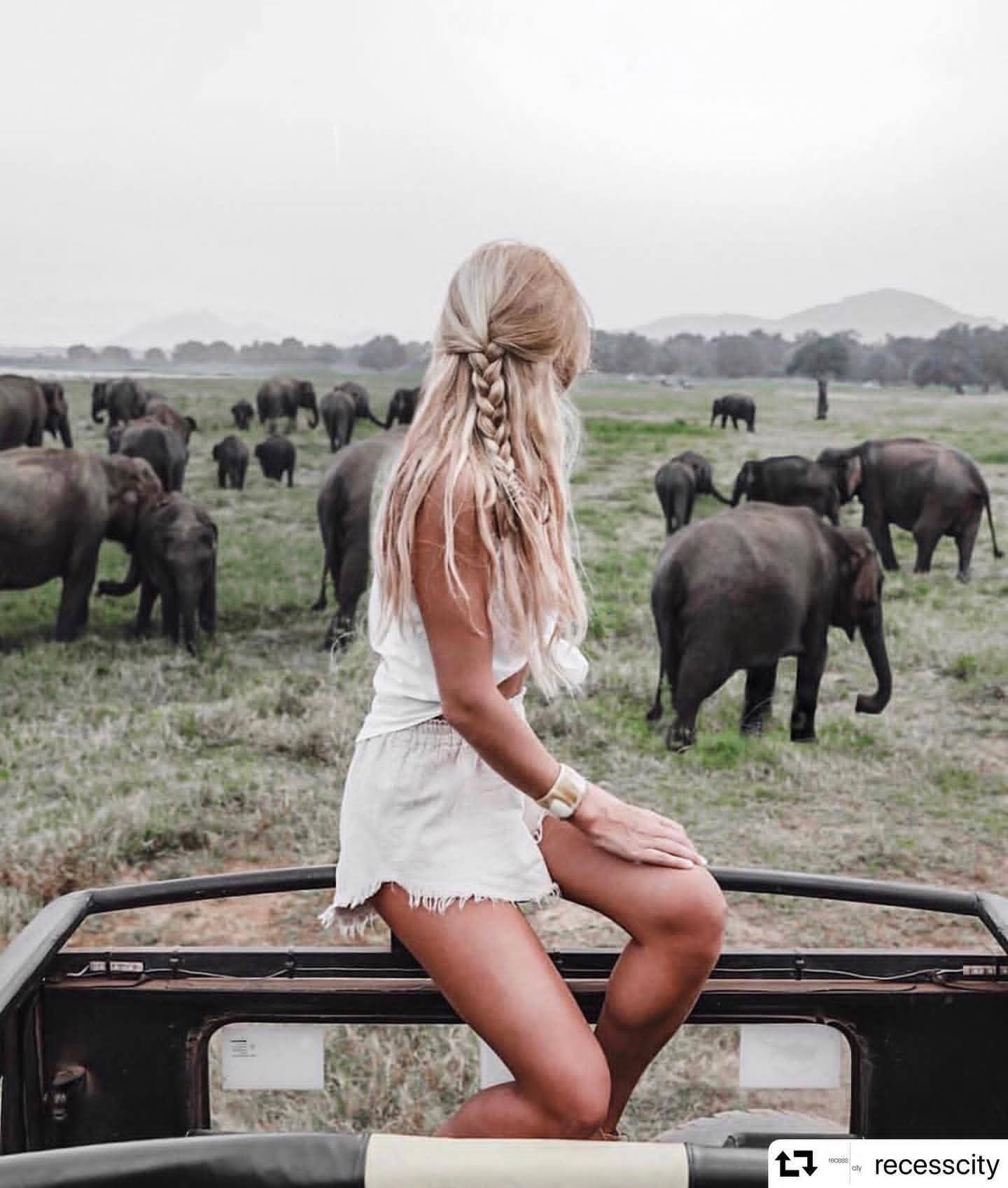 Safari jeep positioned perfectly for elephant gathering photography at Kaudulla National Park