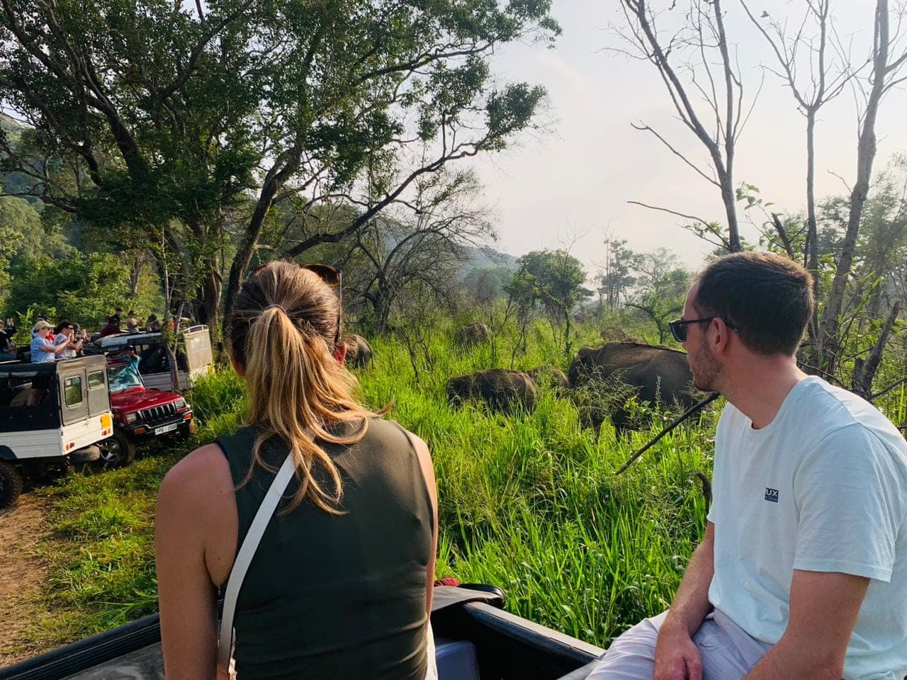 Children safely watching elephants during morning safari at Kaudulla National Park