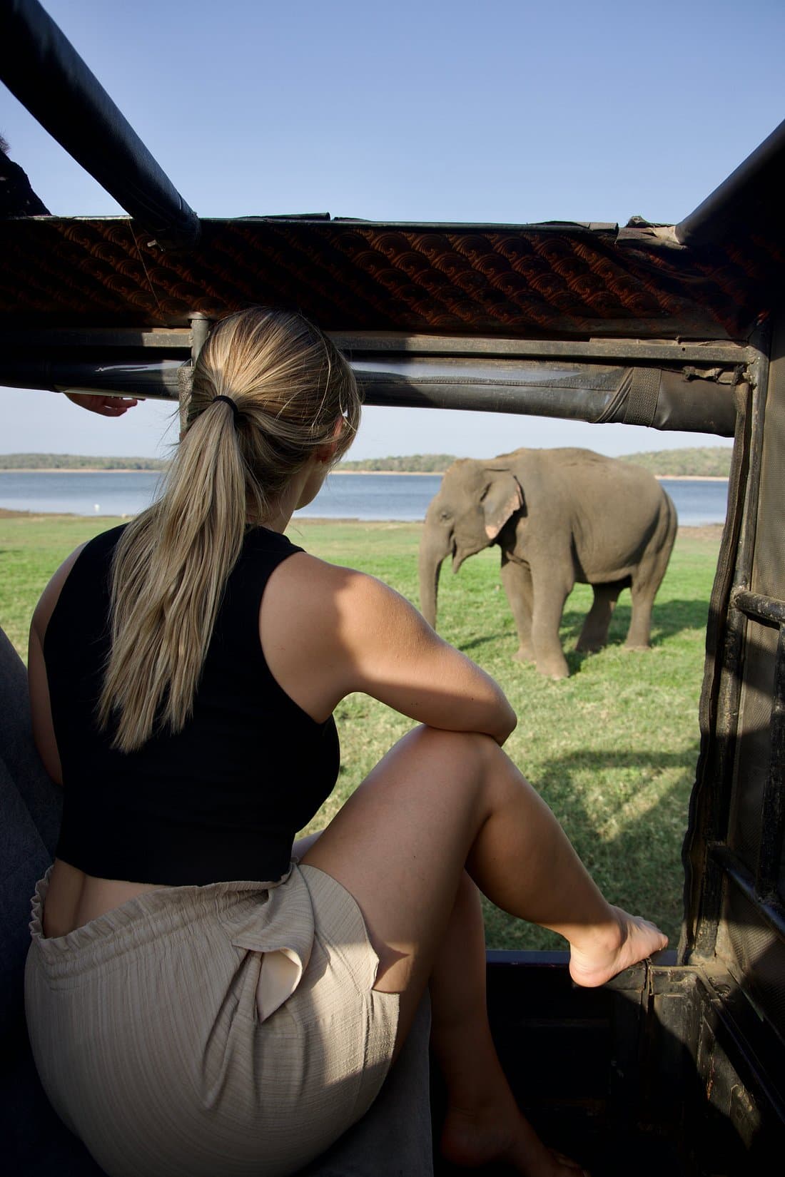Children observing and learning about elephant family behavior during Kaudulla safari