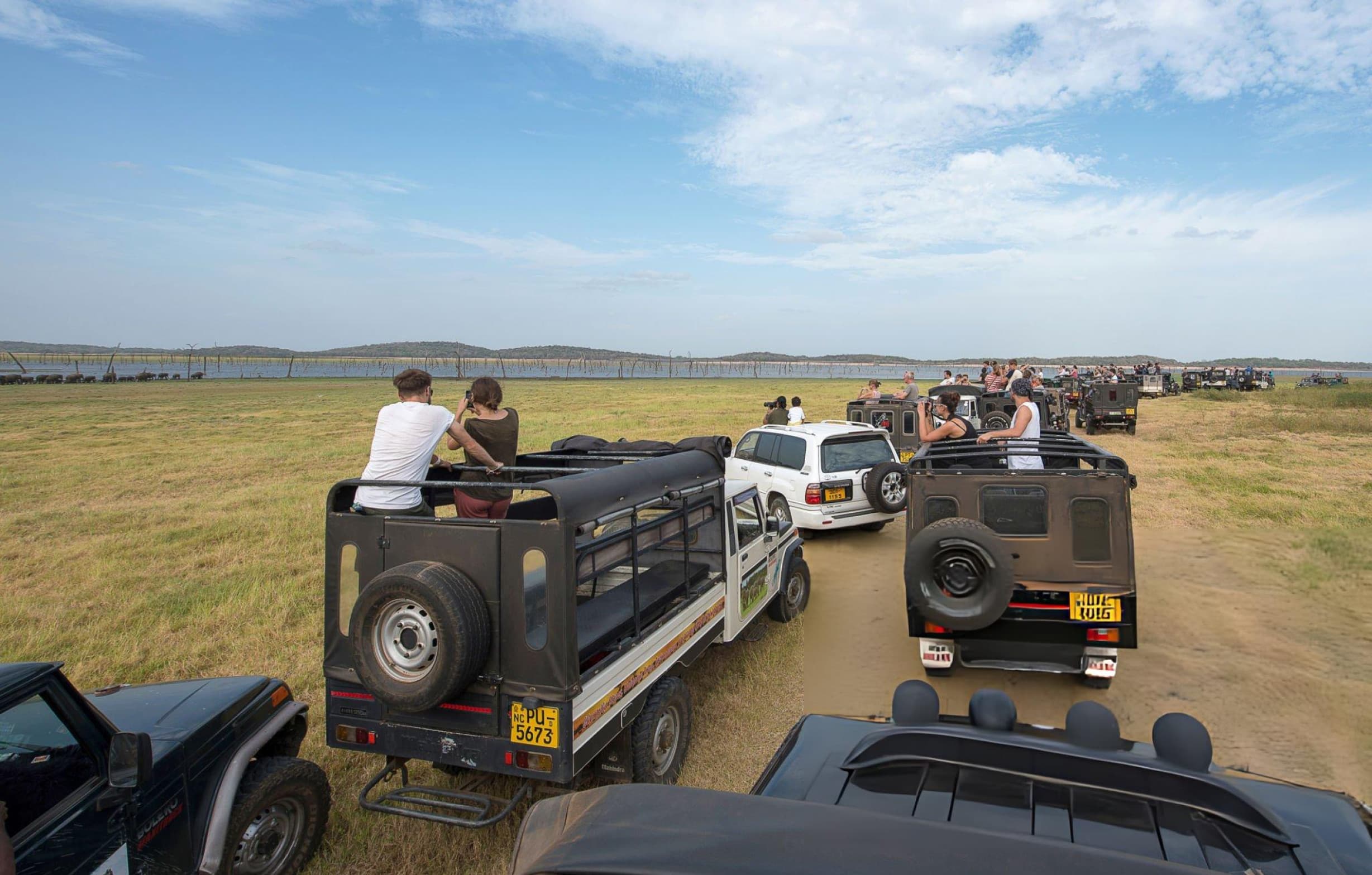 Safari jeep with photographers capturing elephant behavior at Kaudulla