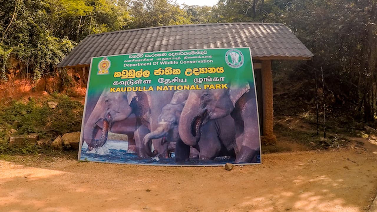 Comfortable hotel accommodation in Habarana near Kaudulla National Park