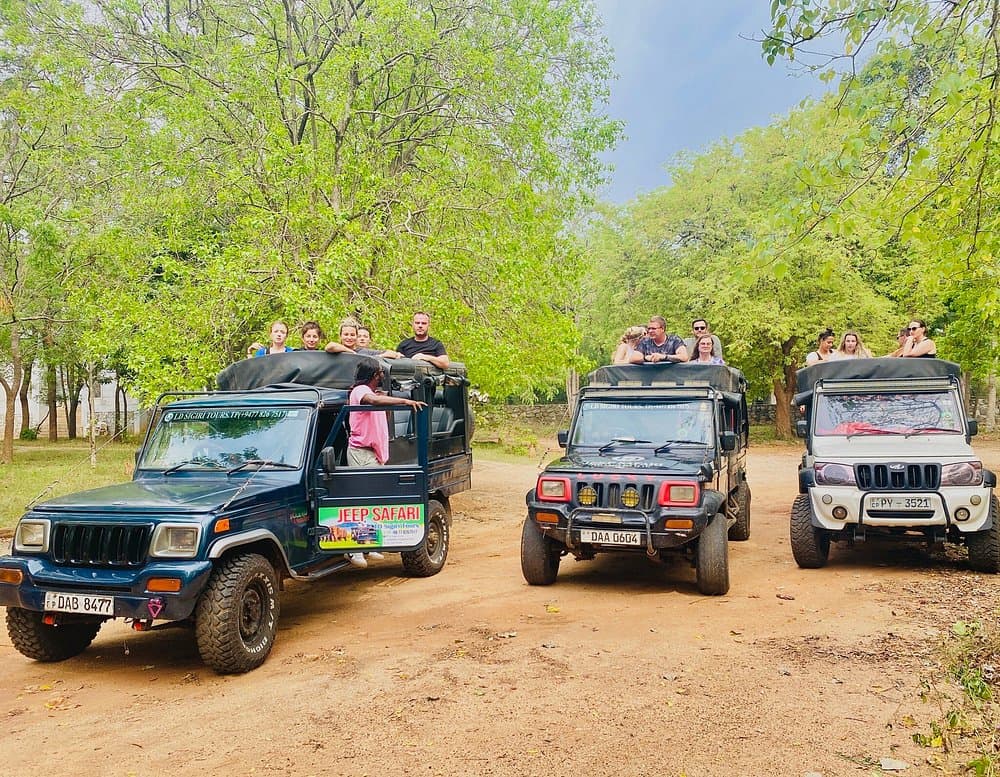 Safari conditions showing dusty terrain and bright sun at Kaudulla National Park