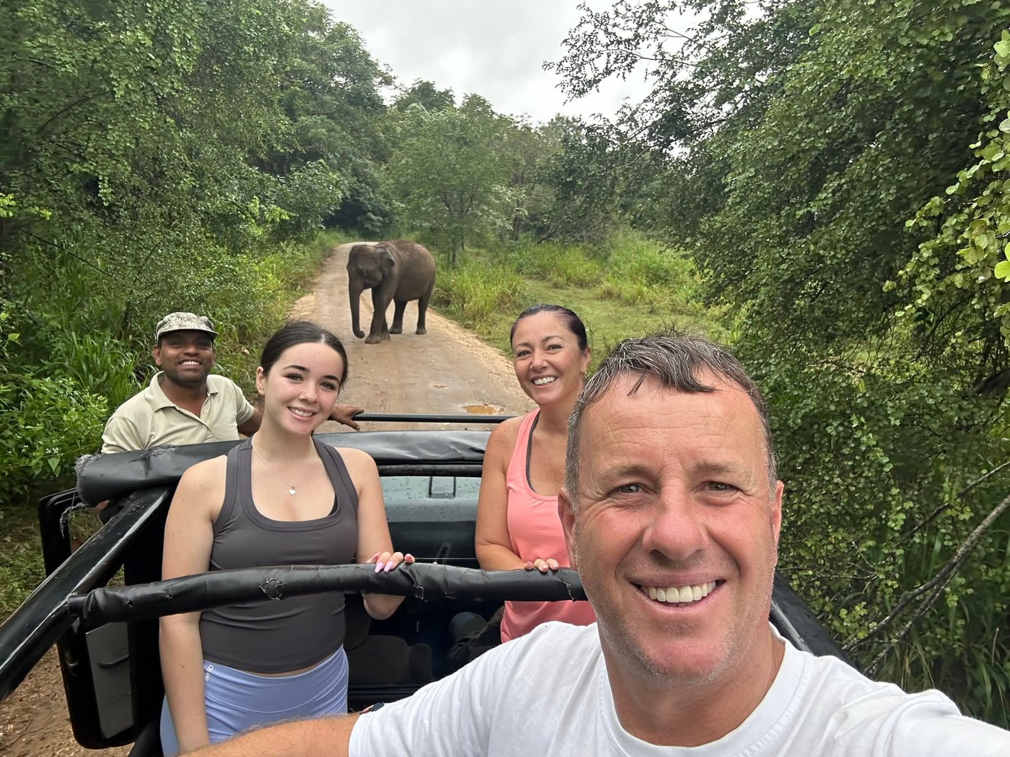 Example of effective composition using rule of thirds and leading lines with elephants