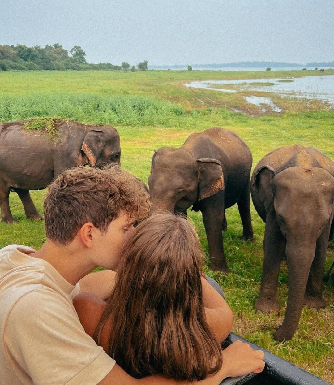 Photographer maintaining respectful distance while photographing elephants at Kaudulla