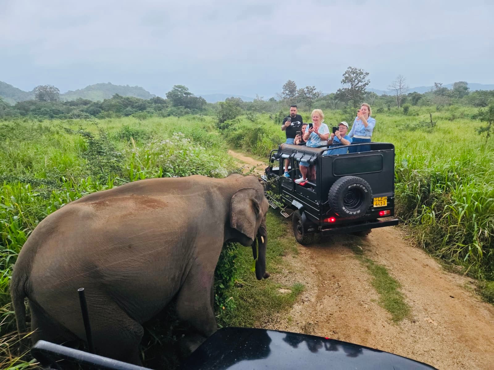 Kaudulla vs Minneriya: Complete Comparison Guide for Choosing Your Safari Park