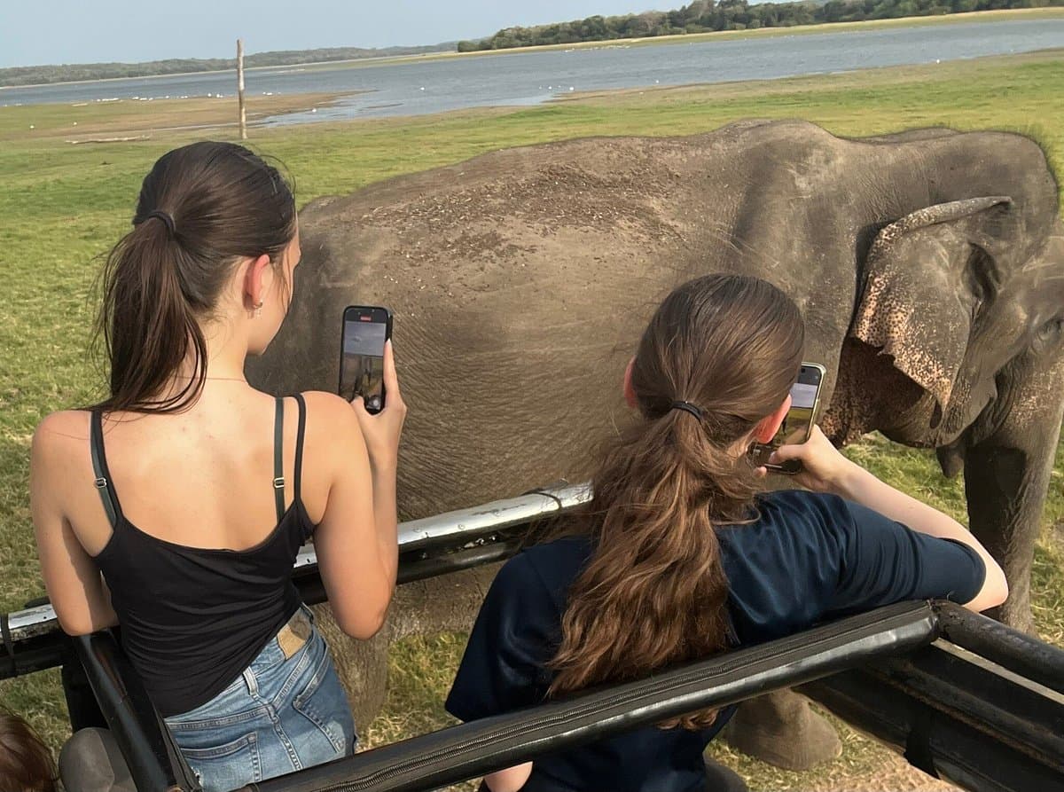 Private Kaudulla Evening Jeep Safari