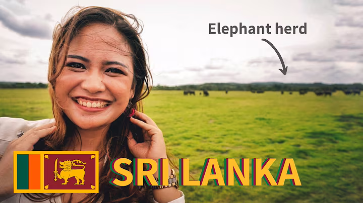 Unforgettable Jeep Safari Experience in Sri Lanka