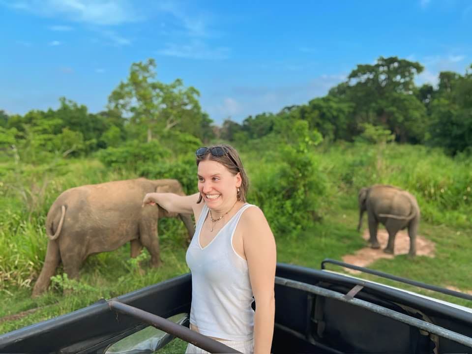 Kaudulla Safari Cost Guide: Complete Budget Planning for Your Wildlife Adventure