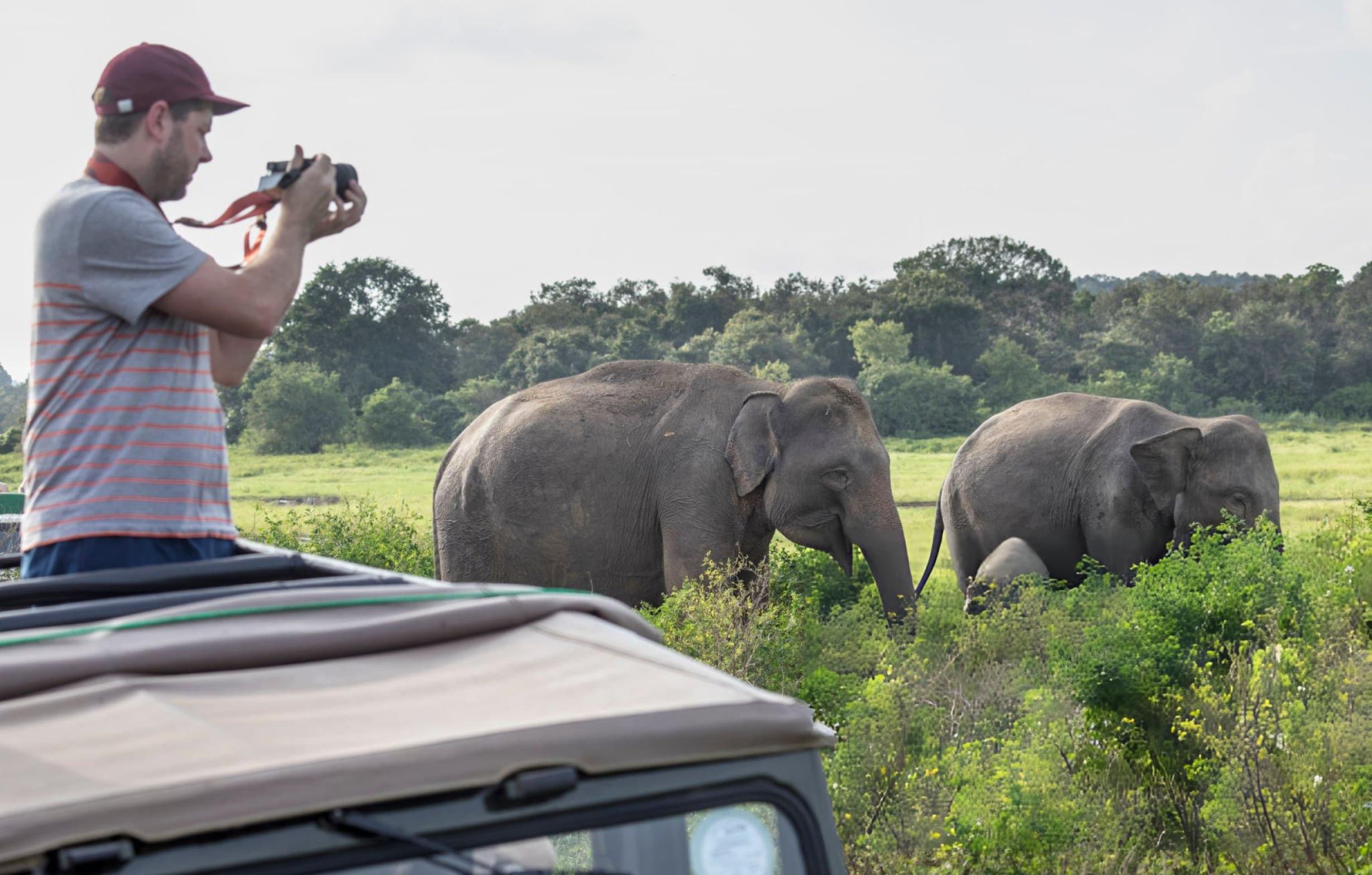 Photography Tips for Kaudulla Safari: Capture Elephants and Wildlife Like a Pro