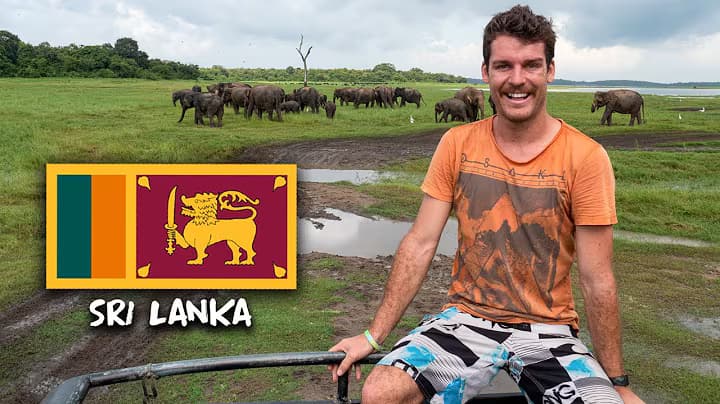 Best Time to See Elephants in Kaudulla National Park