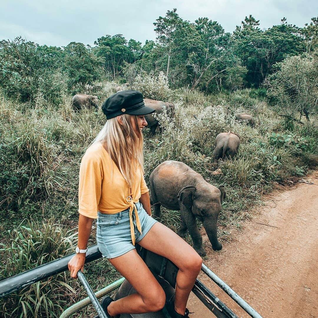 Kyle Richards Safari - You Are The Journey